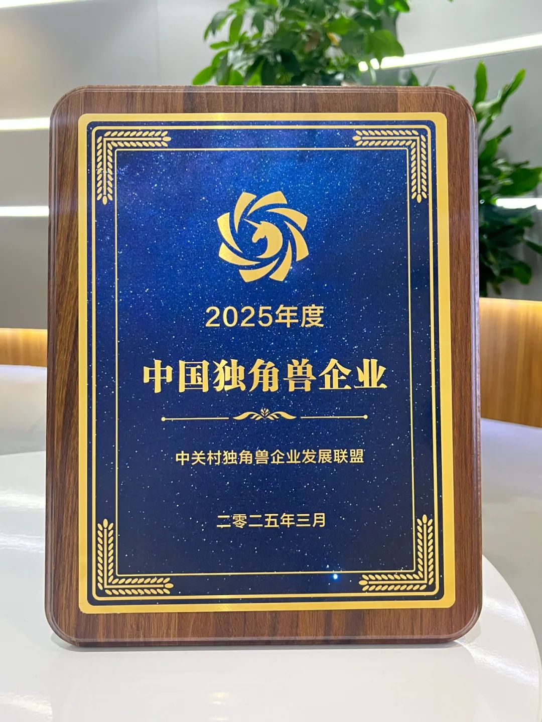 女人荫蒂被添全过程频