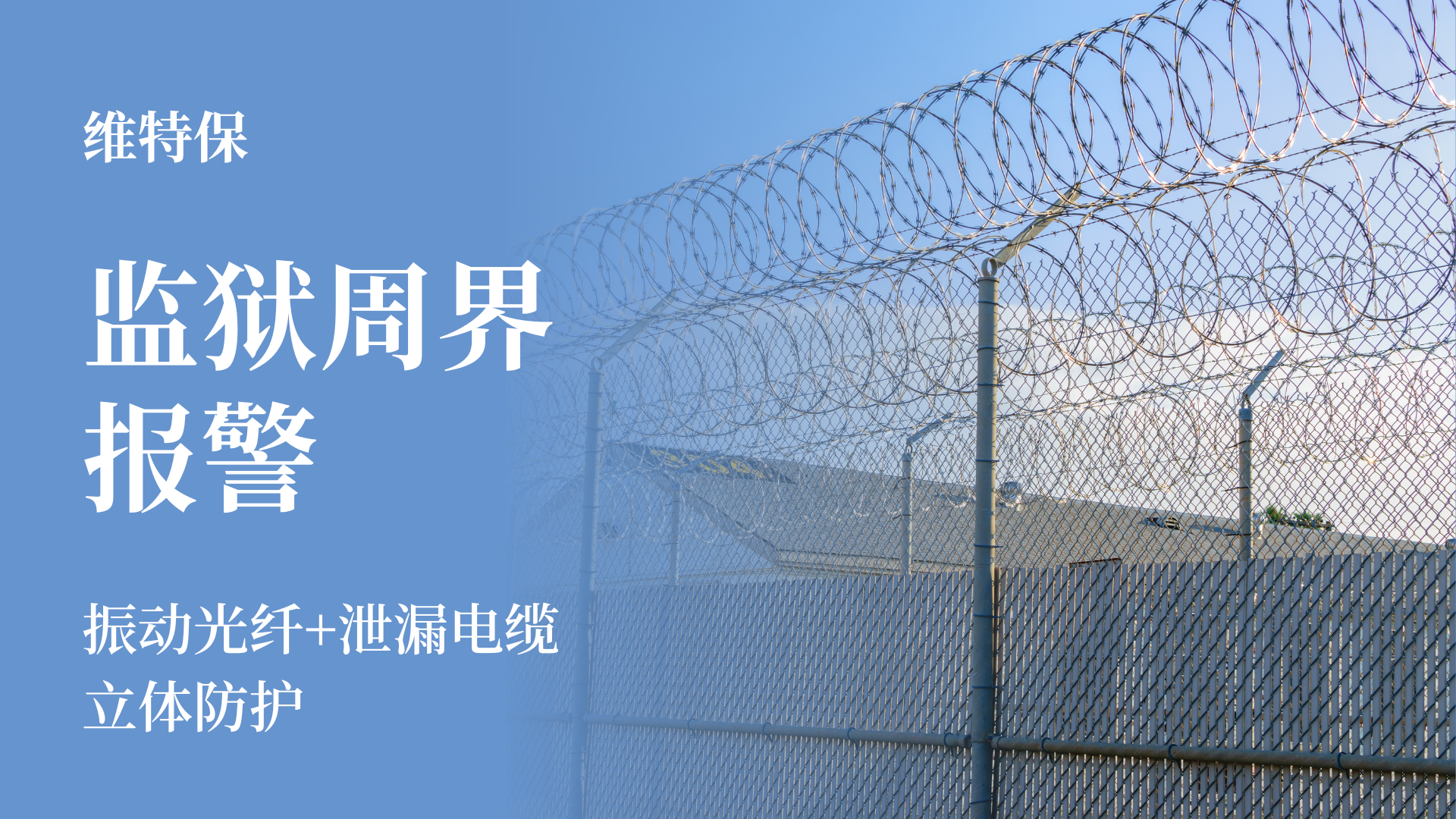 女人荫蒂被添全过程频