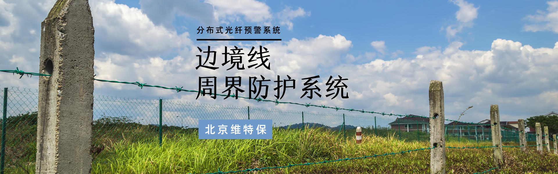 女人荫蒂被添全过程频